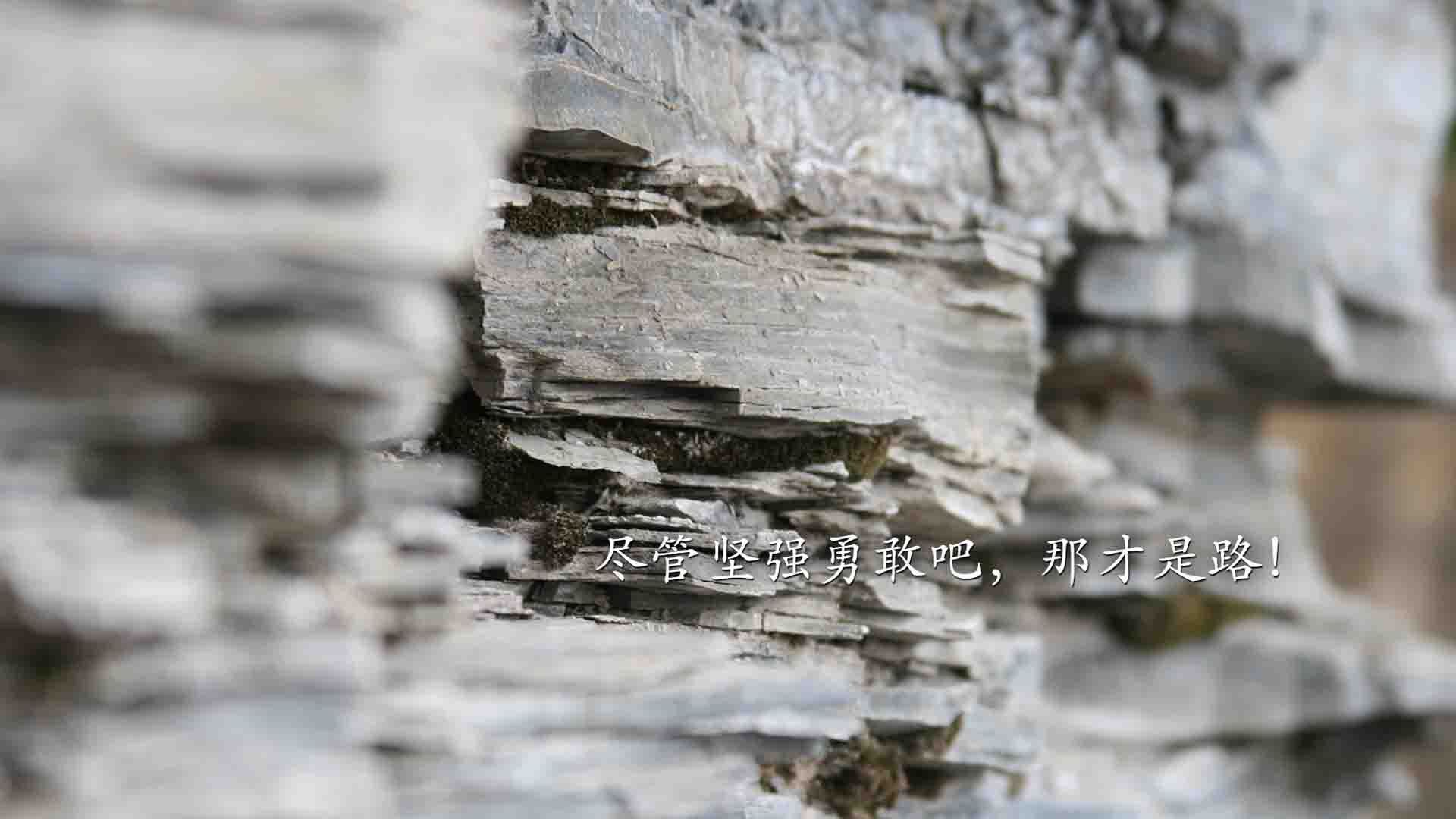 _勇士队连续三场得分突破100+_,勇士队3连冠