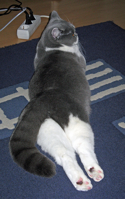 《电竞产业深度调研:投资与发展前景分析》,电竞产业发展的研究现状