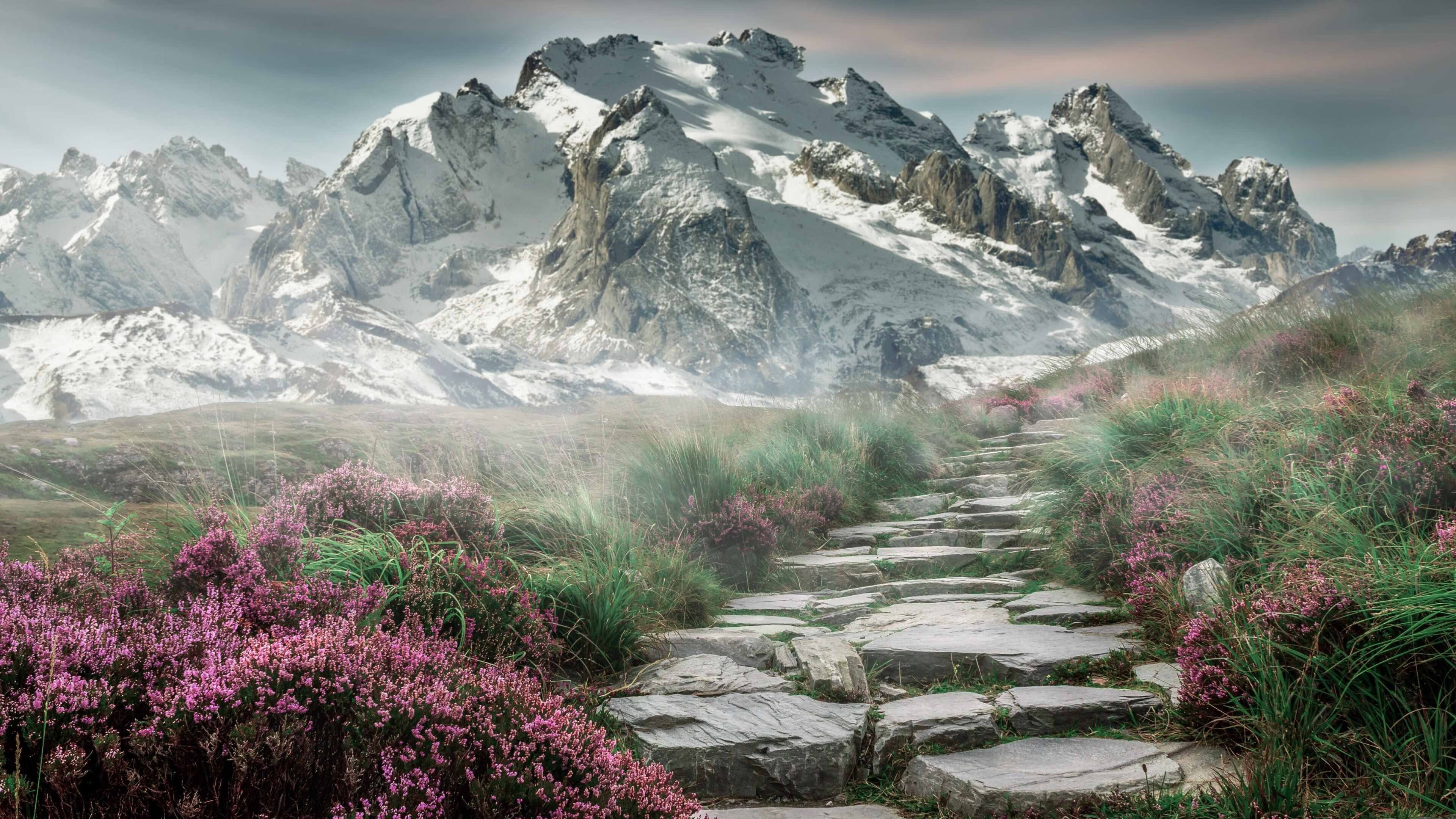 今年联盟三分命中率最高的队伍都有哪些惊喜表现？，联盟三分平均命中率