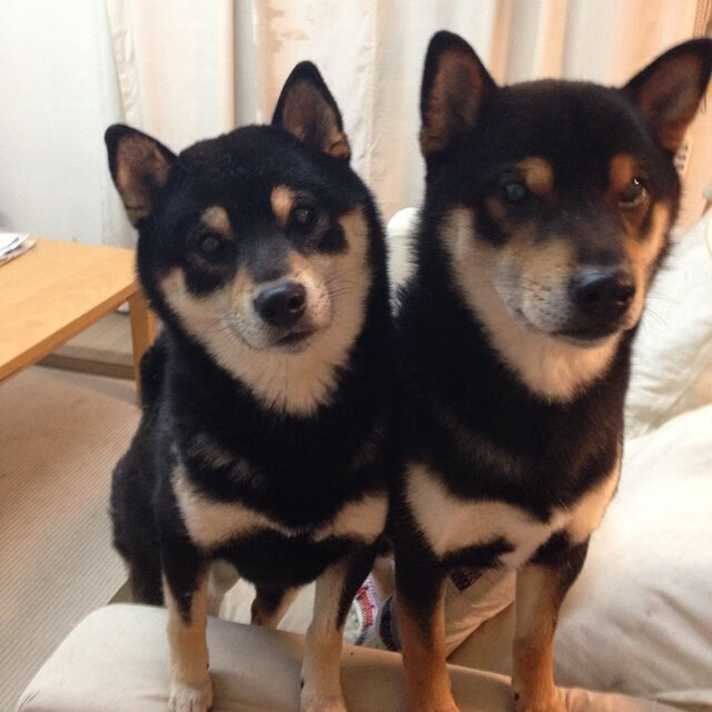 B体育亚洲官方网站-公牛推广“自助观赛体验厅”，个性化界面同步直播，公牛 视频