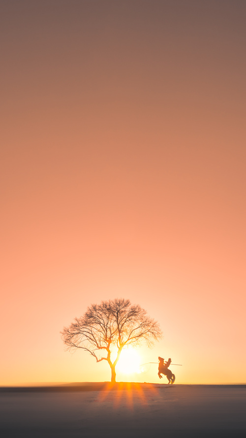 团队默契:北京队全场助攻高达22次,传球流畅!,北京 球队