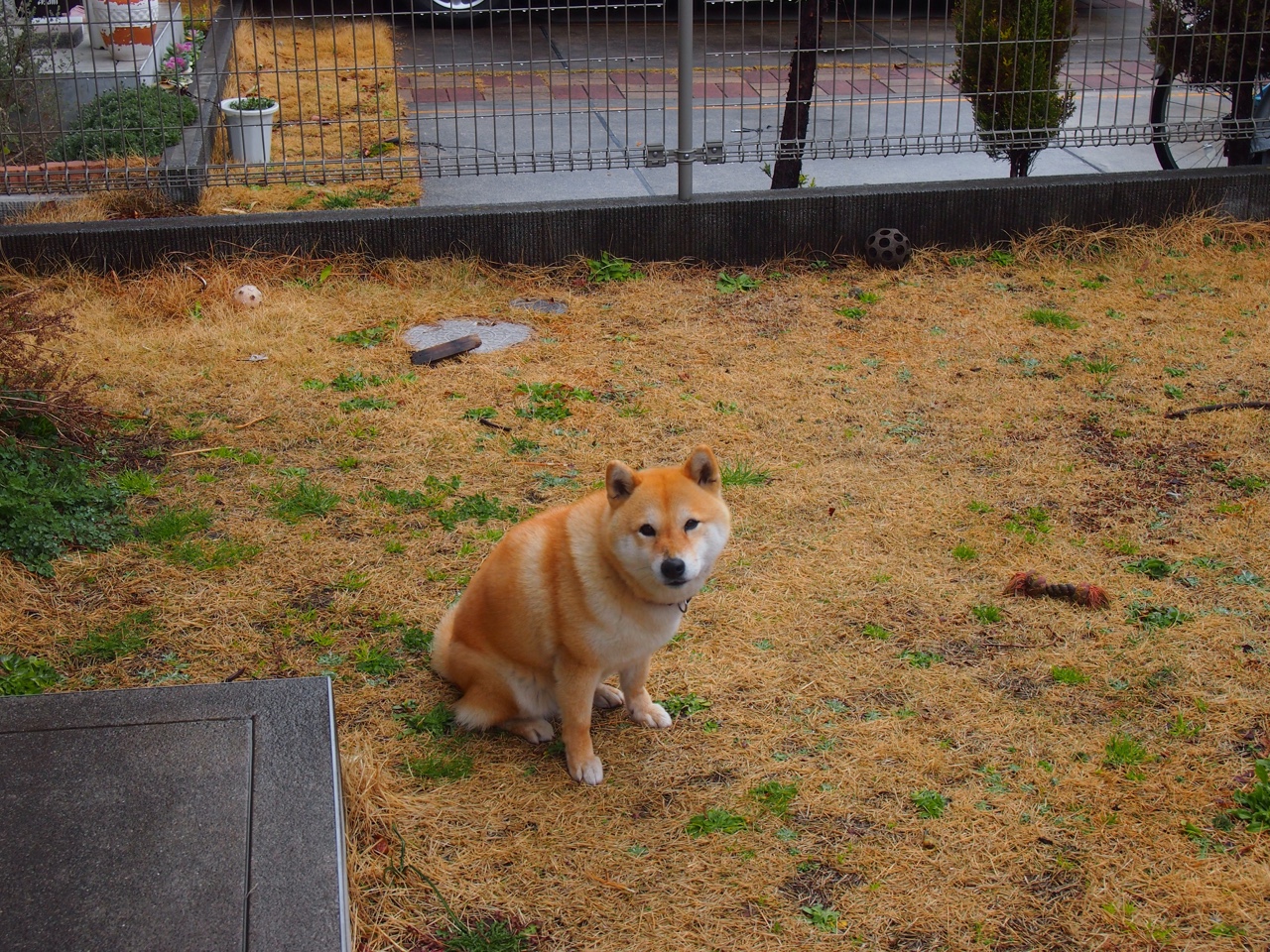 b体育在线平台-小镇传统扒竖赛，文化与力量的精彩对决