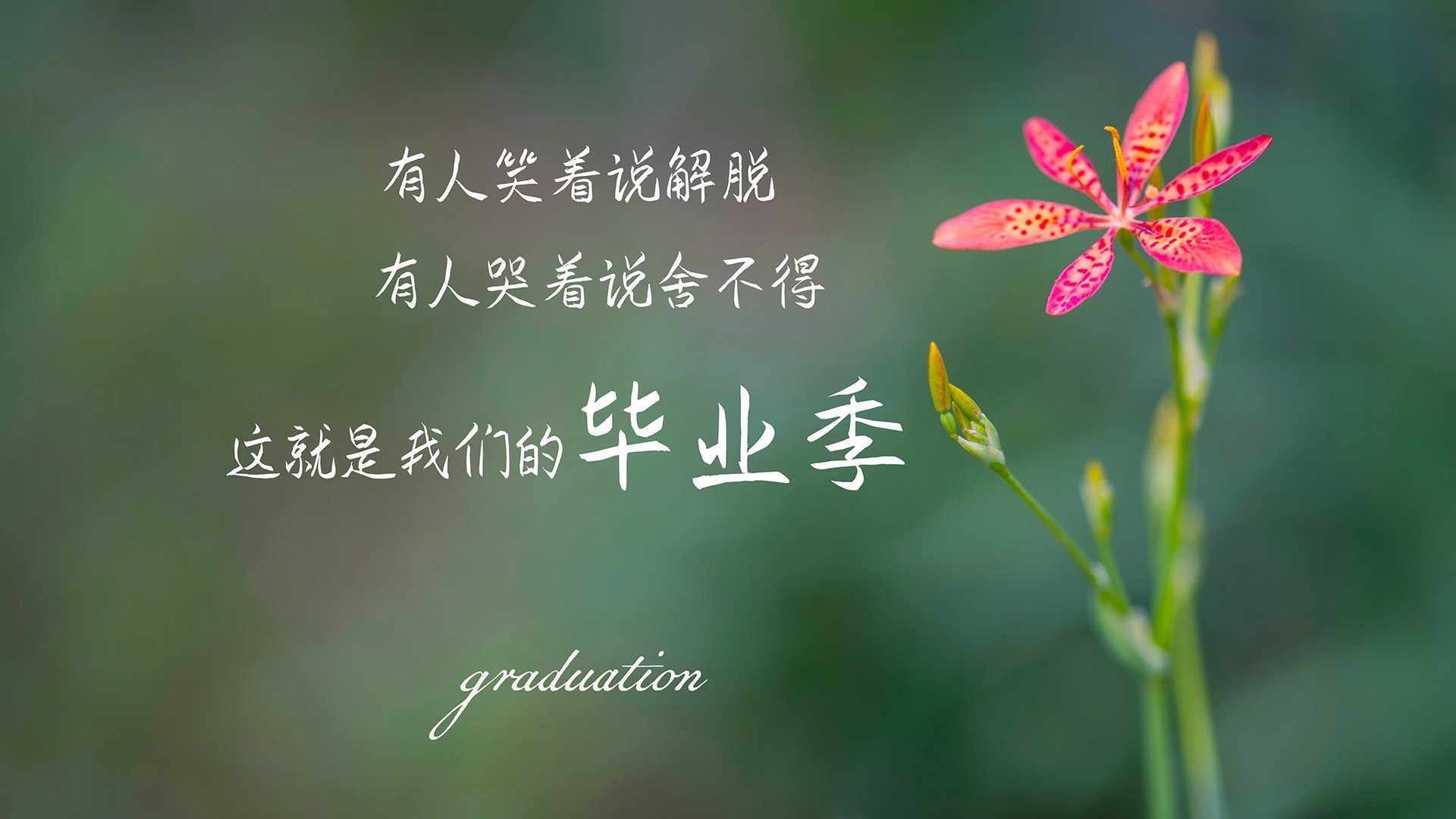 强大对手不容小视，揪心战绩反复脉脉，强大的对手是什么意思