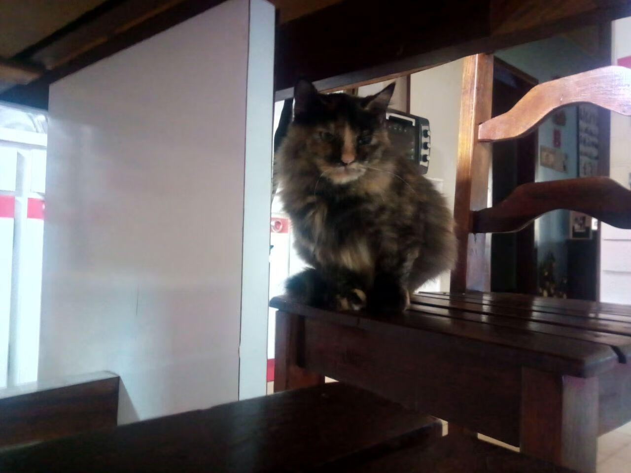 B体育(CHINA)官方网站-拜仁慕尼黑脚踏欧洲，夺冠之路暗含波折，拜仁慕尼黑资料