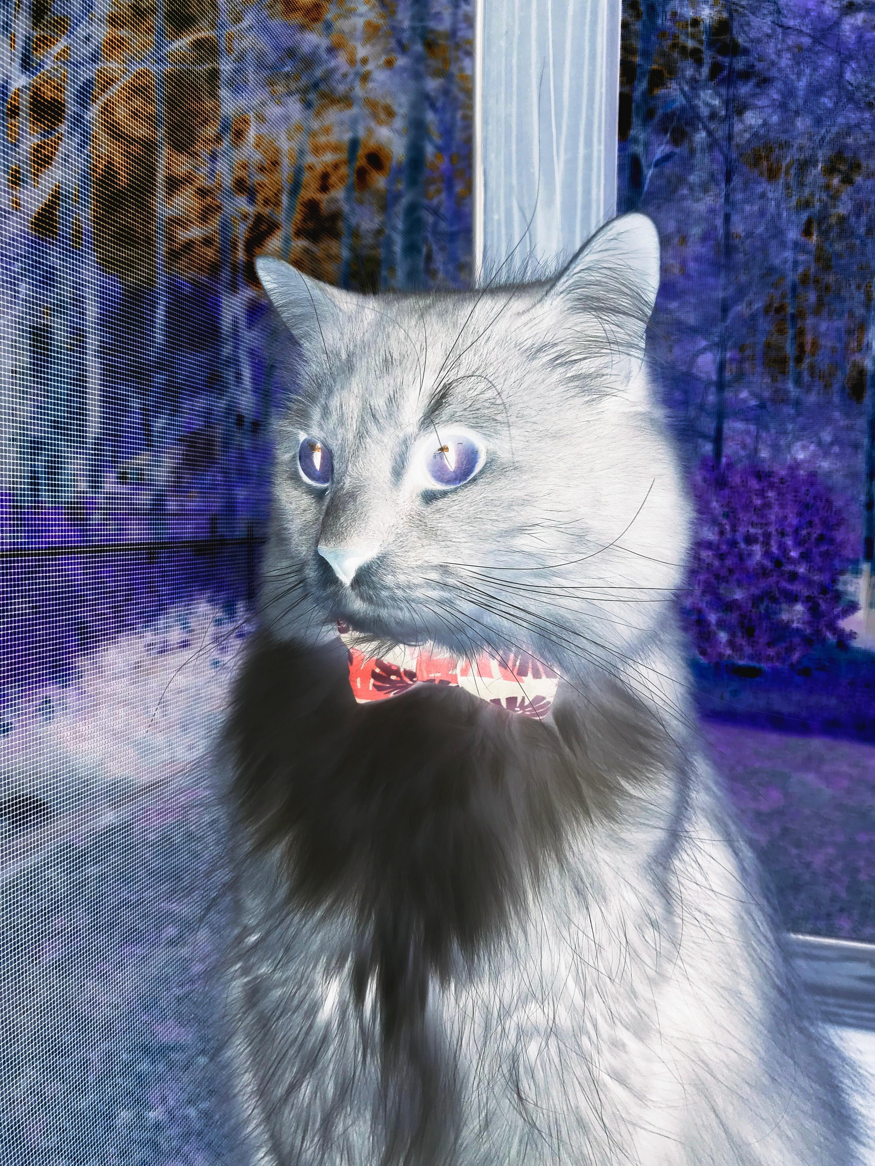 王者荣耀KPL春季赛火热开战，王者荣耀kpl春季赛比赛时间