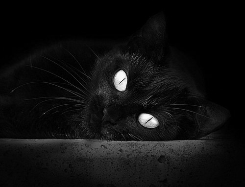 马洛卡新援入选首发,表现令人期待,atp马洛卡