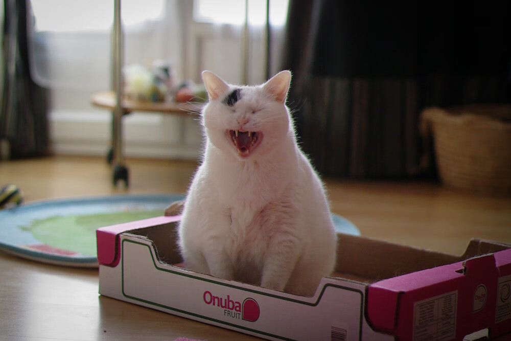 中国篮球职业联赛市场化运营模式探讨,我国篮球市场现状