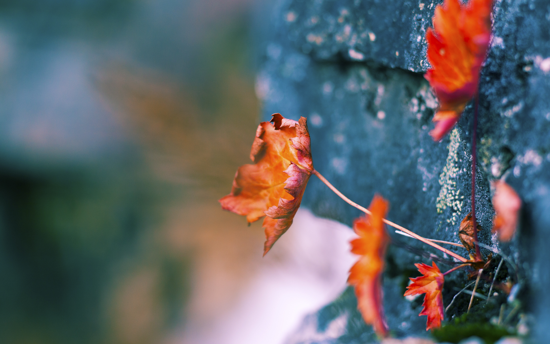 B体育-五大联赛是否正在建立多点得分结构避免单点爆破失灵，五大联赛点球
