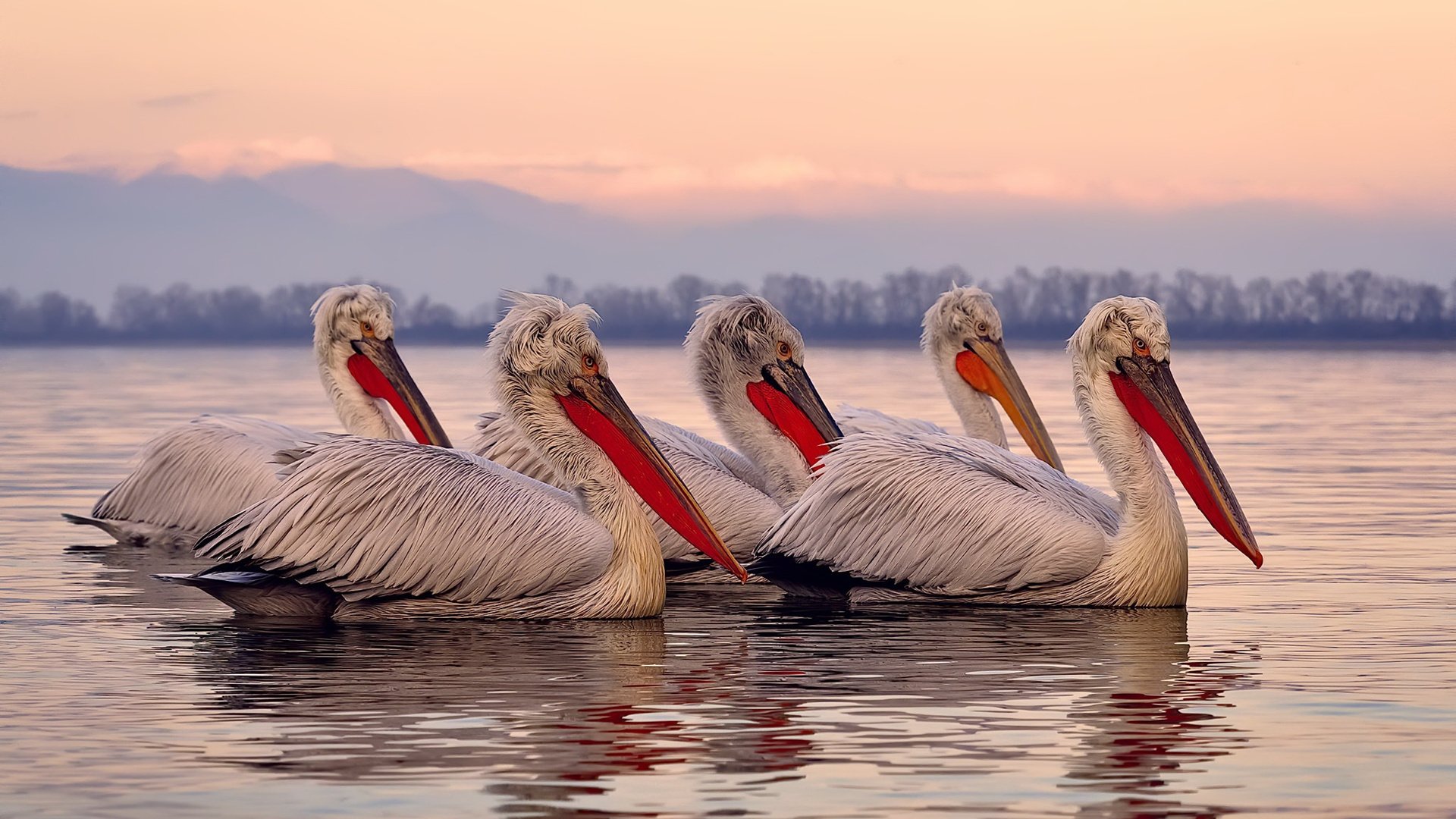 前场球员站位合理性是否决定进攻端空间利用率,前场球员是什么意思