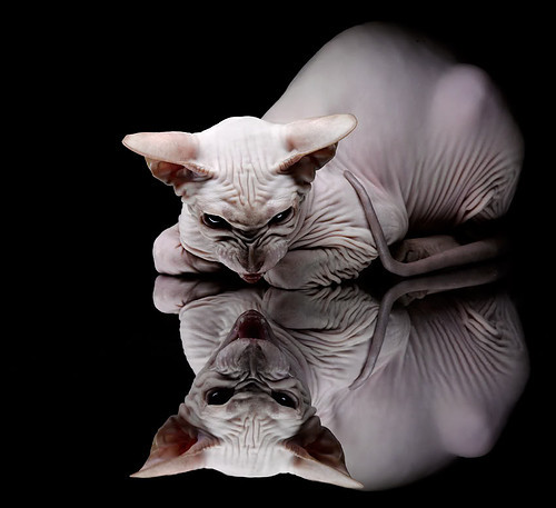 国际乒联赛制改革，观赛体验更加多元，国际乒联改了哪些规则