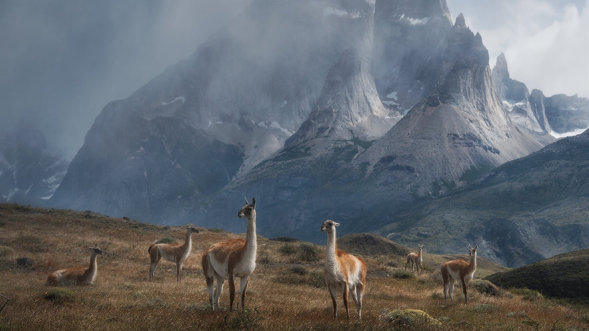 搏击赛场新星异军突起表现抢眼,最新搏击视频比赛