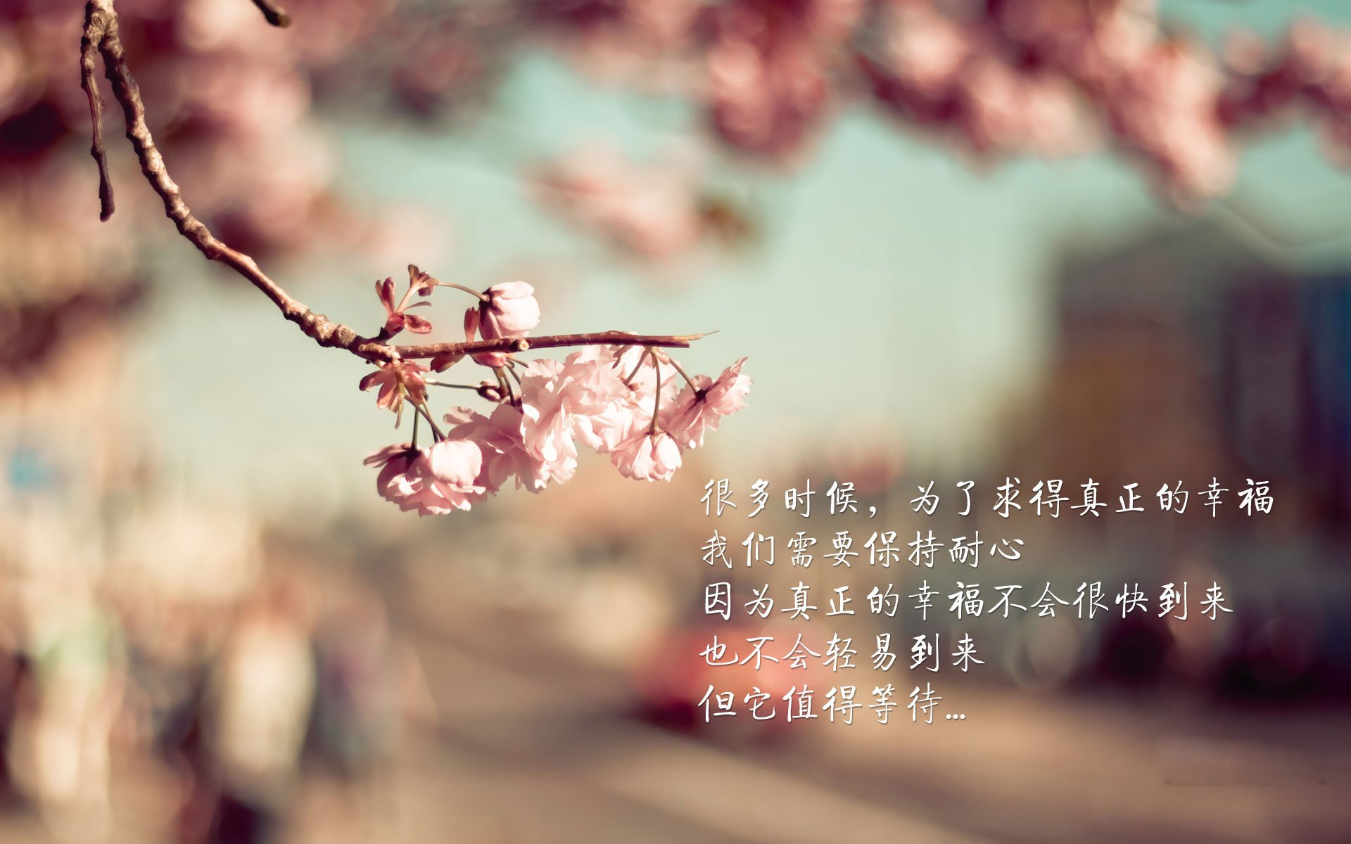 b体育直播-瑞典队：2024年国际乒联混合团体世界杯的黑马之势，瑞典乒乓球联赛