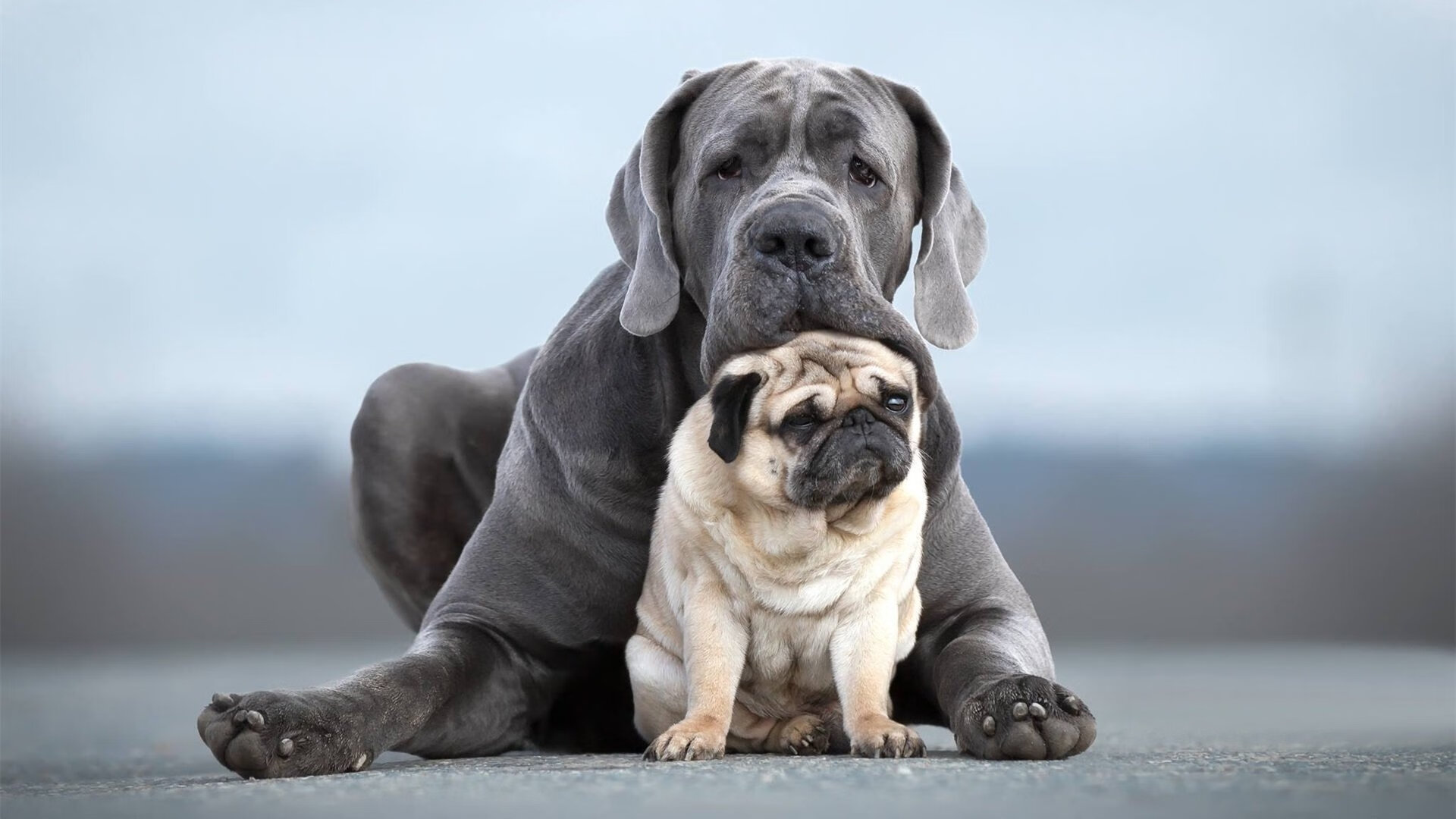B体育中国官方平台-阿尔及尔俱乐部联赛 NB Staouéli 获得国内联赛与杯赛双冠，阿尔及尔属于哪个洲