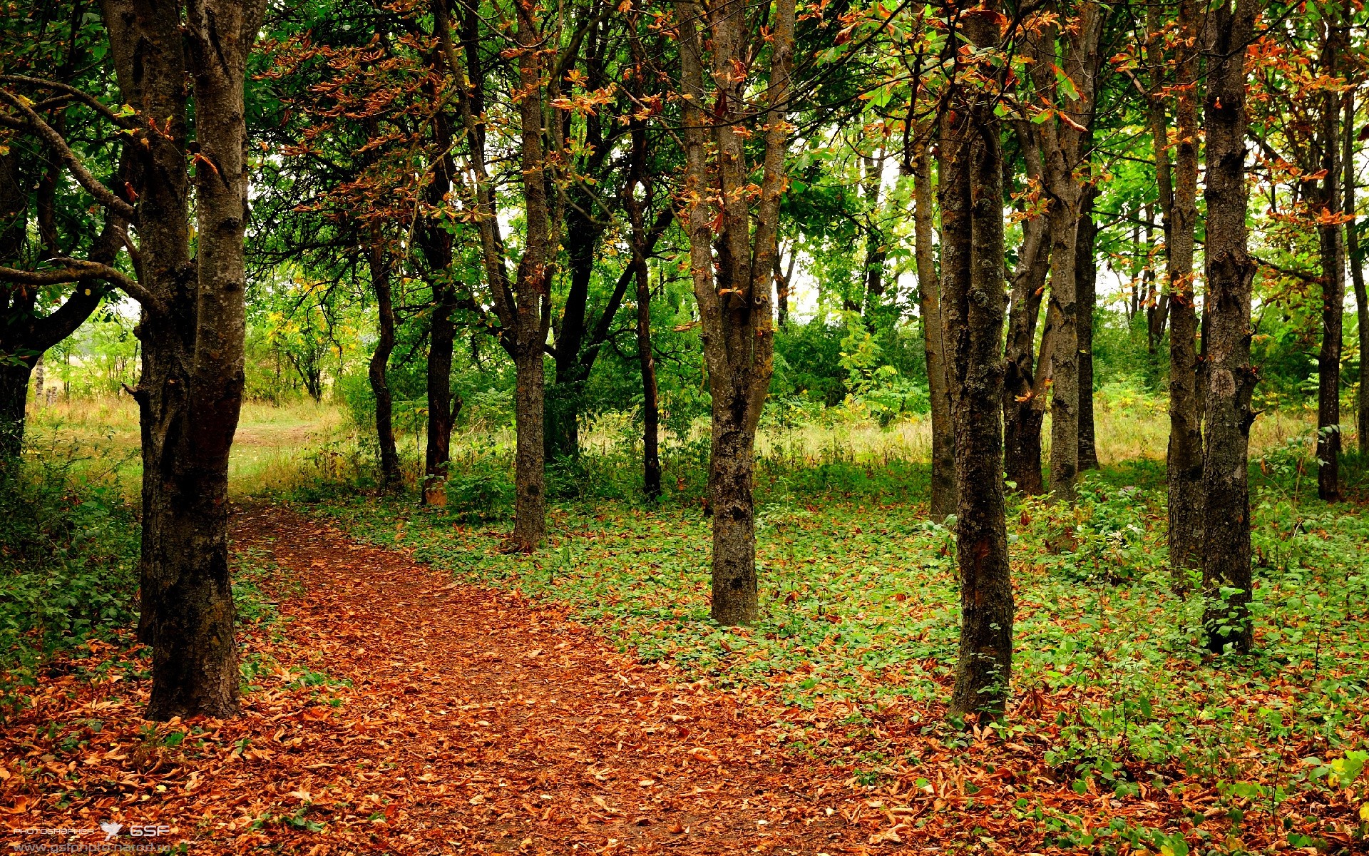 克莱尔·柯尔赞赛后感谢团队支持,克莱尔资料