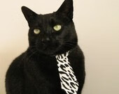 BSPORT 官网-维尔·冯·威克：南非队的锋线引擎，他的进攻总是能打破防守封锁