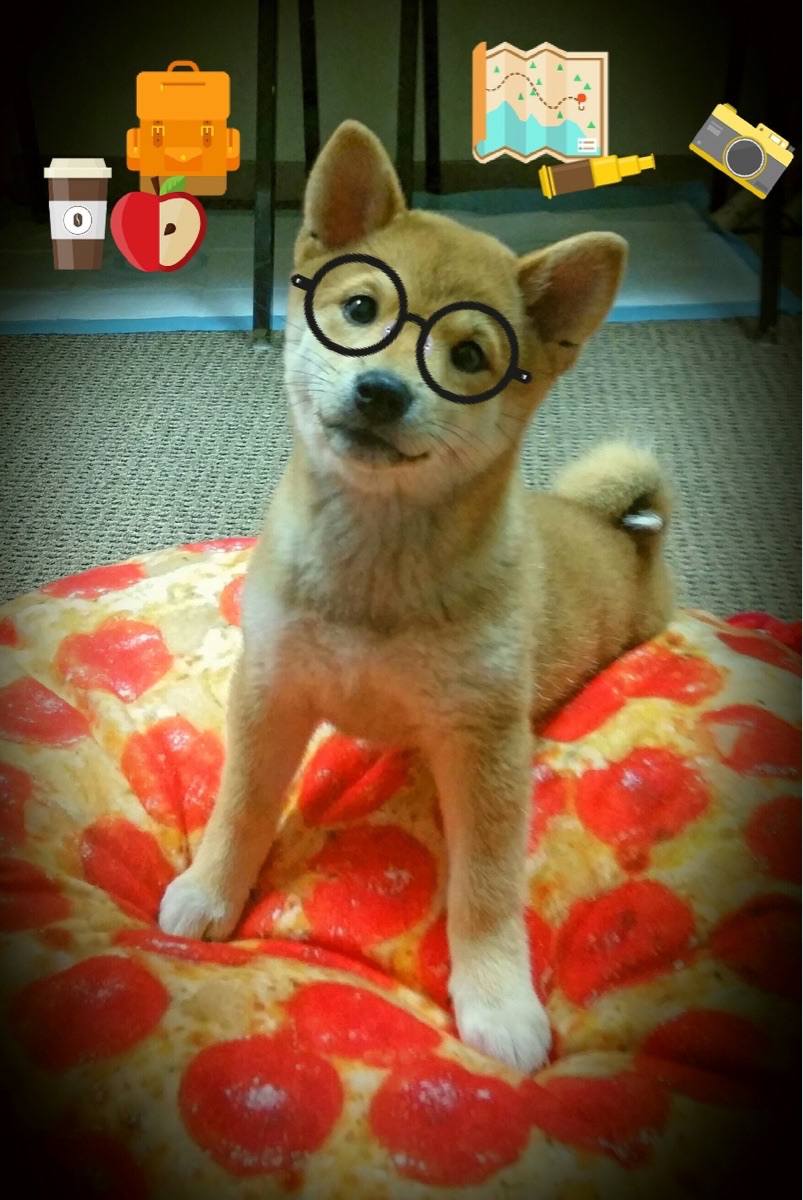 维尔·冯·威克:南非队的锋线引擎,他的进攻总是能打破防守封锁