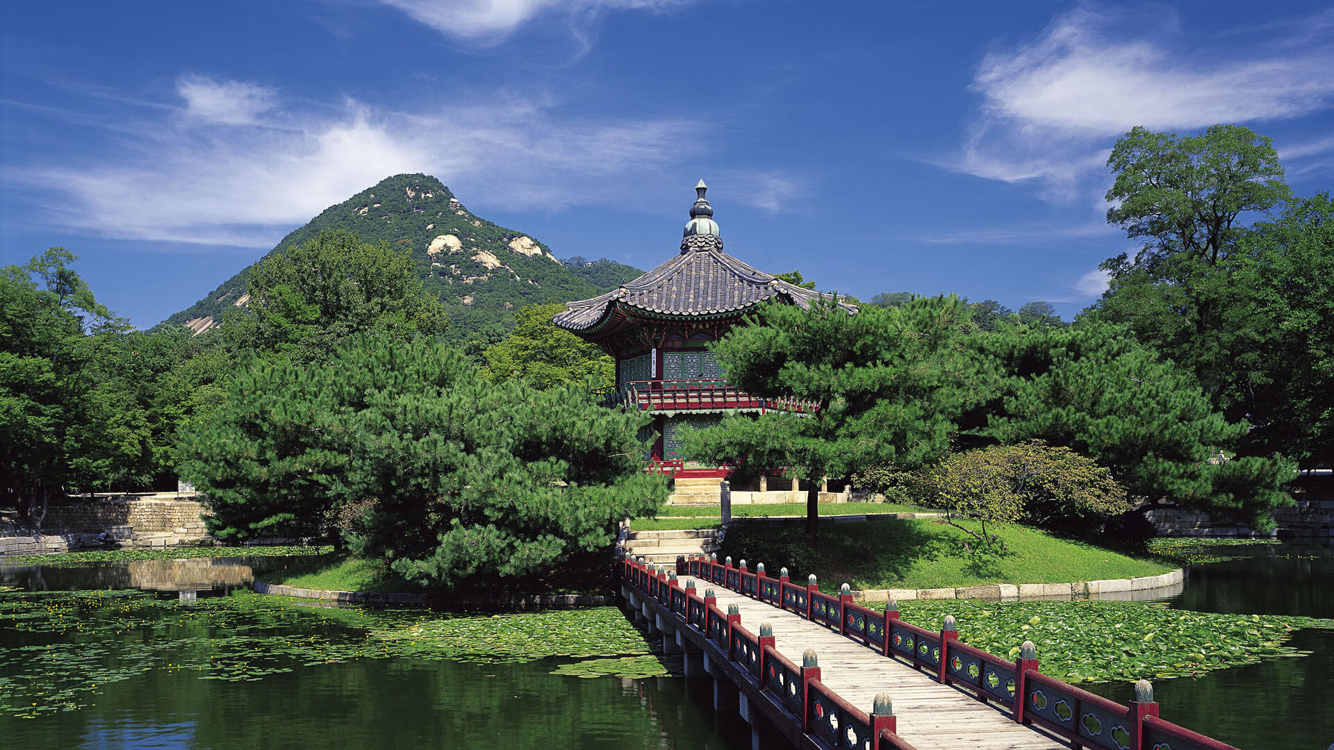 赛事安保升级确保观众体验和现场秩序双重保障，体育赛事安保方案