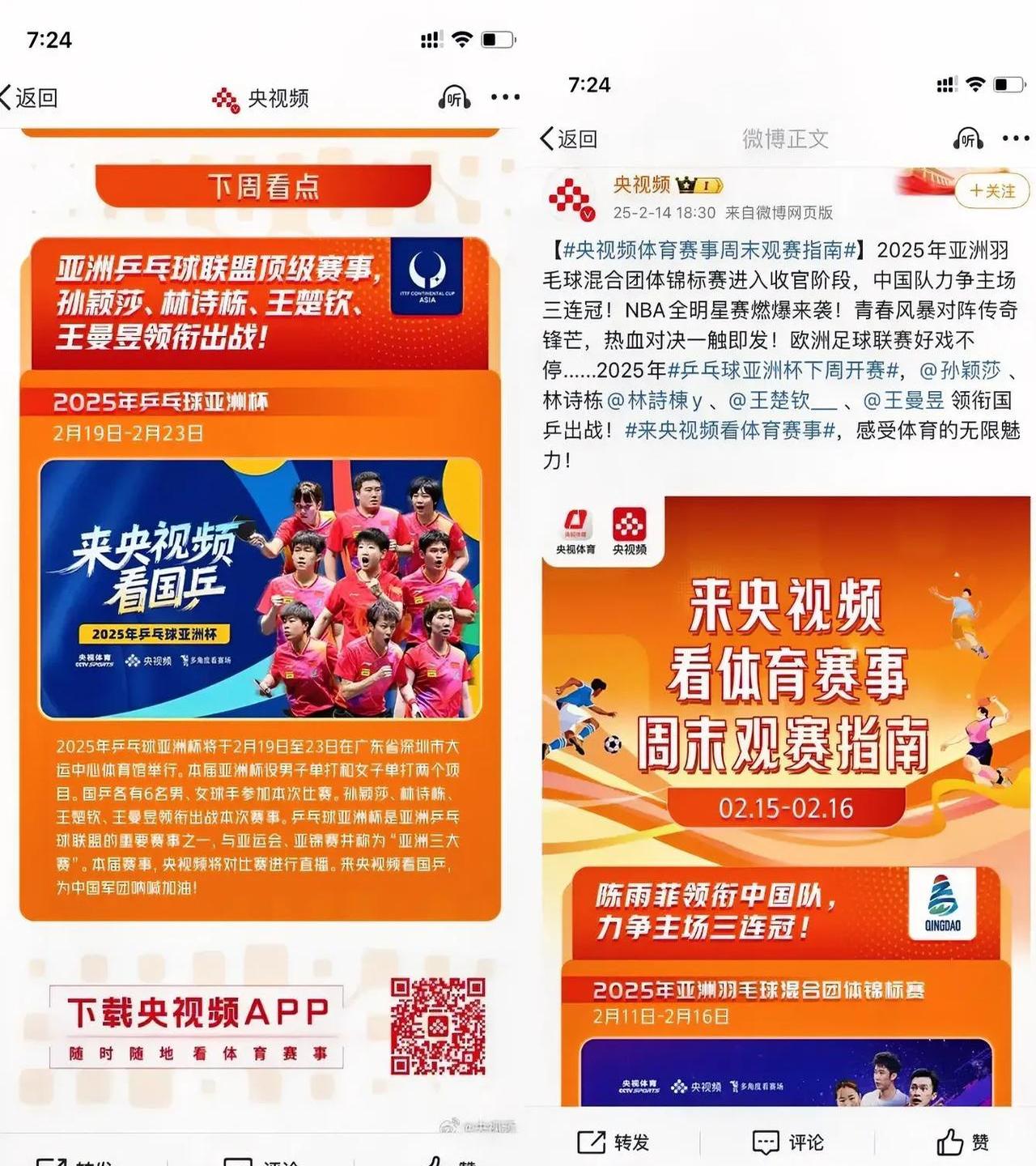 包含B体育:赛事背后的故事：如何提升观众体验的词条