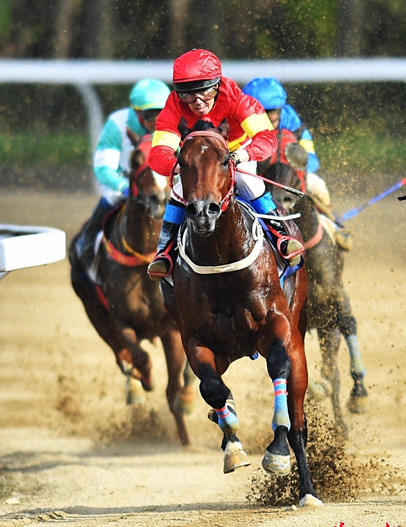 关于B体育:国际马术赛事的精彩瞬间,骑手与马的默契合作的信息 关于B体育:国际马术赛事的精彩瞬间,骑手与马的默契合作的信息